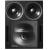 Genelec 1234APM-VD 